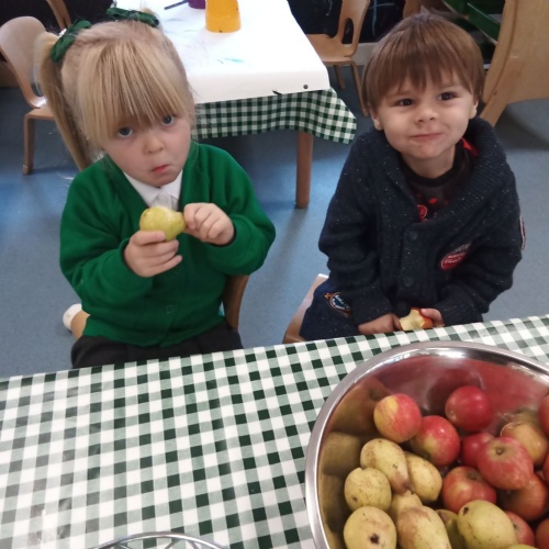 Beaver Green Primary School - Butterflies News