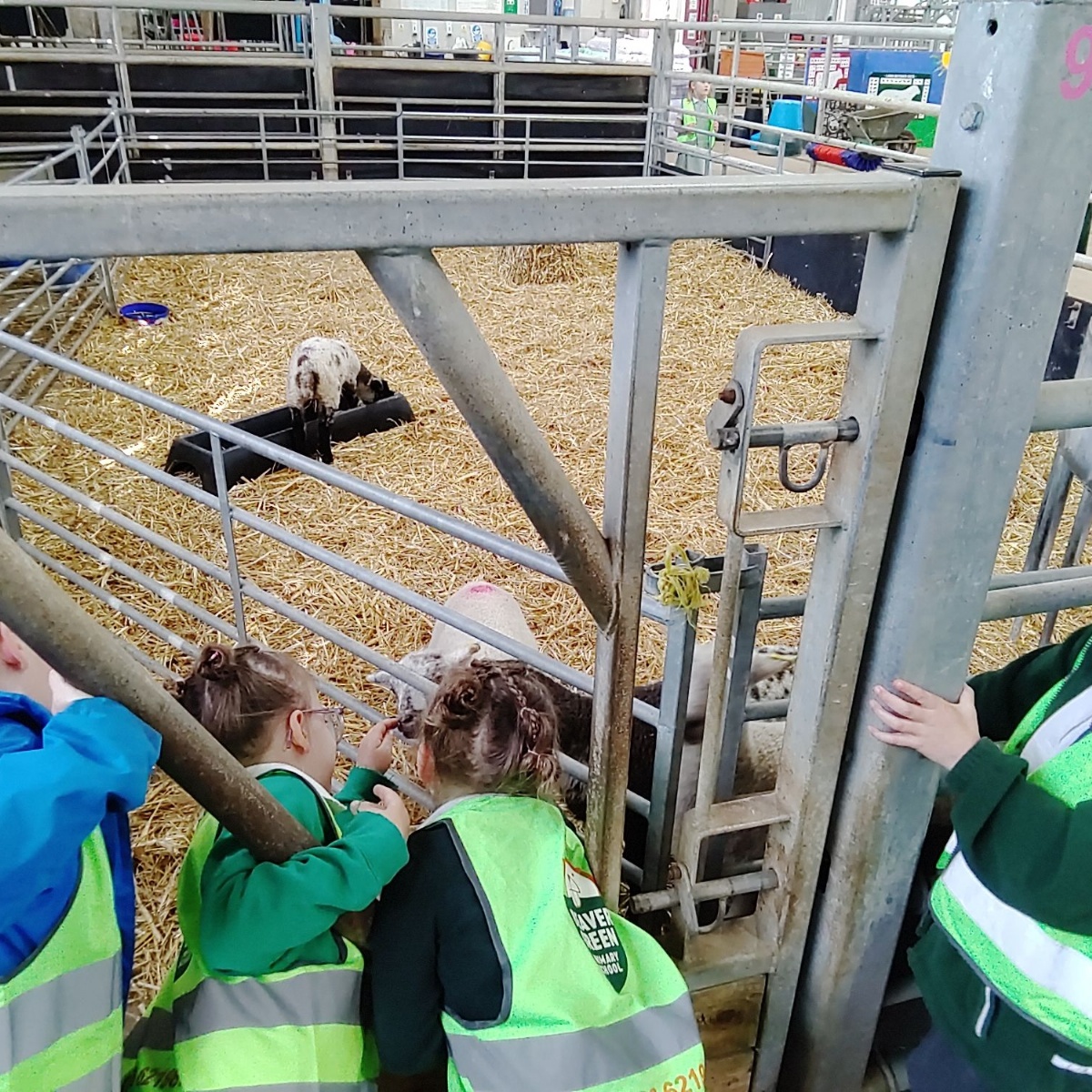 Beaver Green Primary School - Farm Club